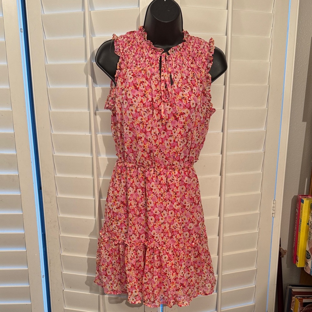 FISHBOWL CHIFFON Floral Pink Sleeveless Dress Sz: S
